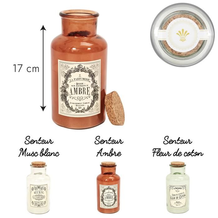 BOUGIE PARFUMEE MAISON TRADITION H17CM M12