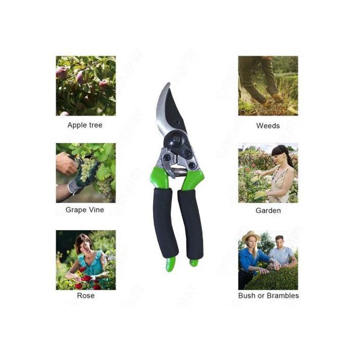 Ciseaux de taille professionnels de haute qualité, pour le jardinage à la main