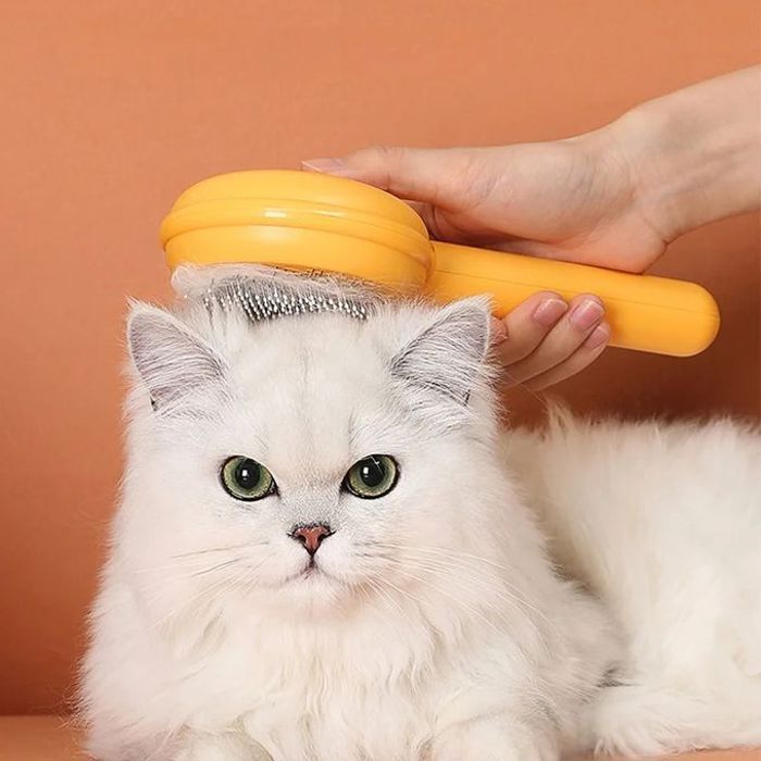 Brosse de toilettage pour chat, chien, poils de chat et animaux de compagnie