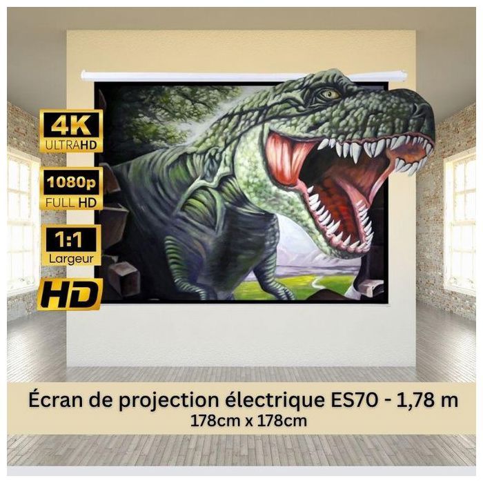 Écran de projection ES70 SCREEN SHOT 1.1 en PVC – format carré 178 x 178 cm