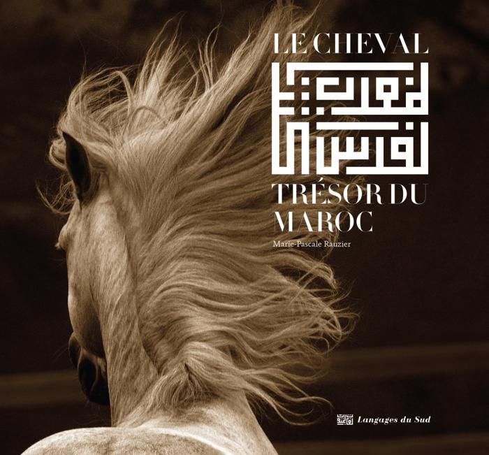Le cheval, Trésor du Maroc