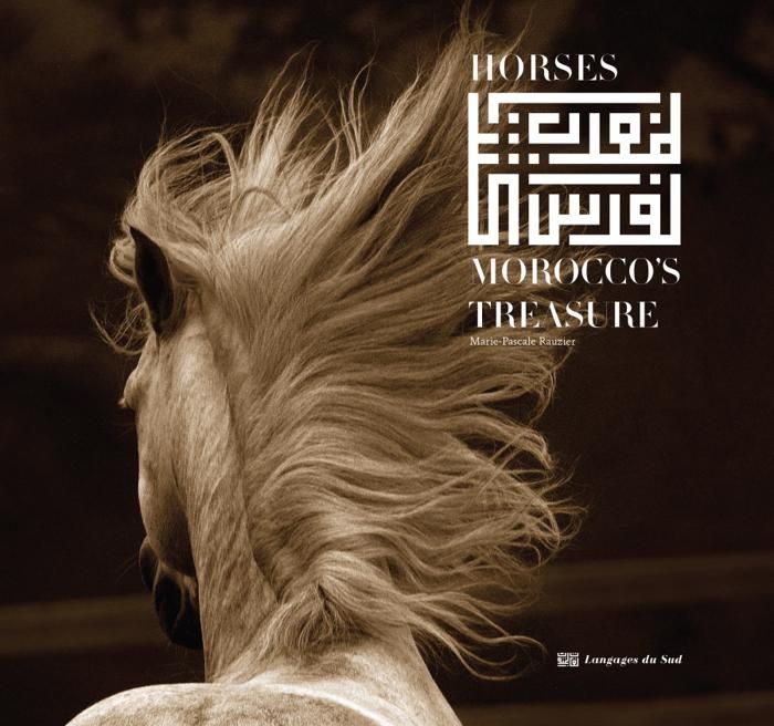 Horses, Morocco's Treasure