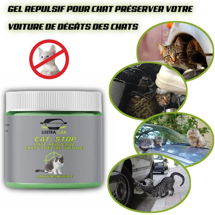 répulsif chat préserver votre voiture des dégâts causé par les chats