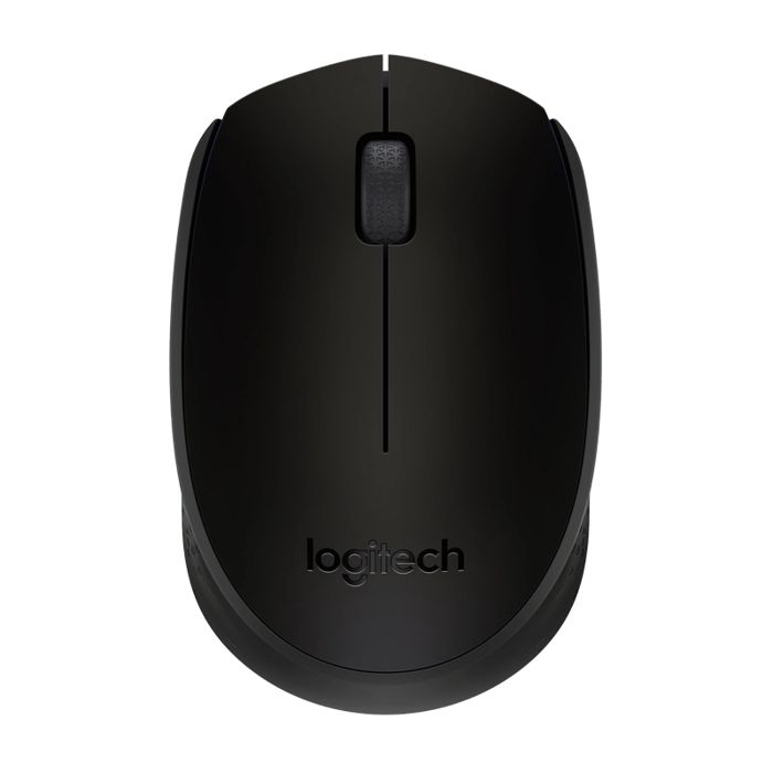 Souris sans fil LOGITECH M171