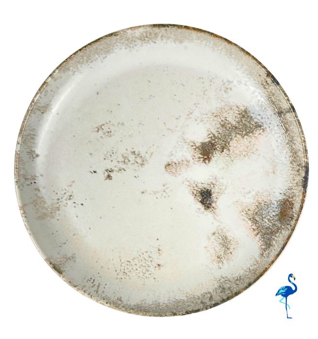 LOT DE 6 ASSIETTES PLATES SALDA 21CM