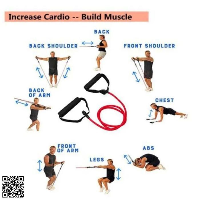 Bandes de Résistance - Non spécifié - Longueur réglable - Poignées ergonomiques - Fitness à domicile