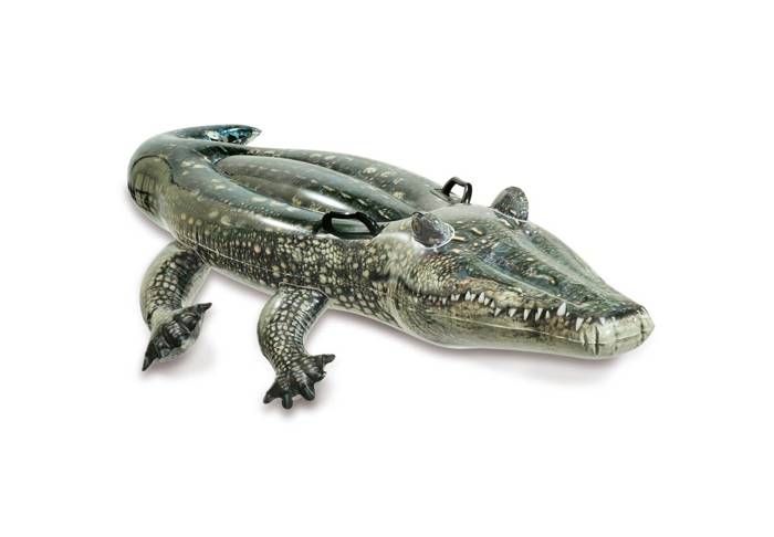 Bouée gonflable Alligator à chevaucher INTEX - Dimensions 170 x 86 cm - Pour enfants à partir de 3 ans