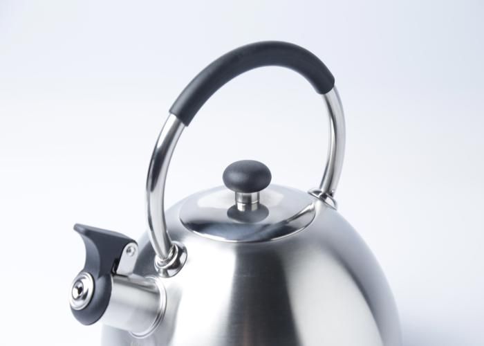 Bouilloire siffleuse - GENERIC - 2,5L - Inox - 19x19x22 cm - Sifflet intégré