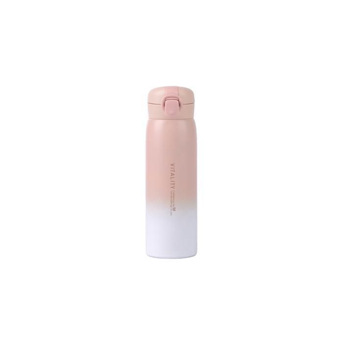 Bouteille Isotherme - Multicolore - 450 ml - Inox - Design Contemporain - Pratique