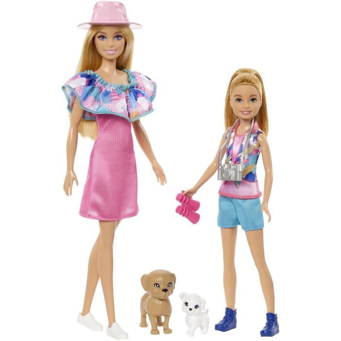 Barbie-Coffret Poupées Stacie et Barbie avec 2 chiots et accessoires HRM09